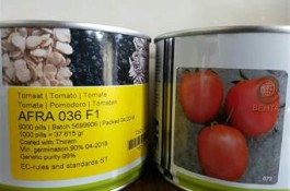 فروش بذر گوجه فرنگی افرا 
